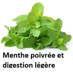 Menthe poivrée et digestion légère