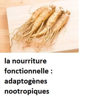 la nourriture fonctionnelle : adaptogènes nootropiques