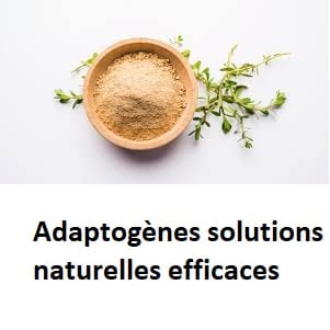 Adaptogènes solutions naturelles efficaces