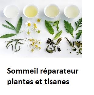 Sommeil réparateur plantes et tisanes