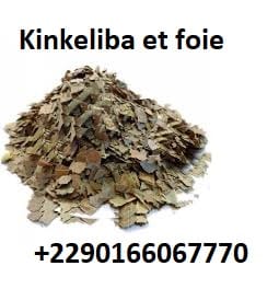 Kinkeliba et foie