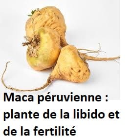plante de la libido et de la fertilité
