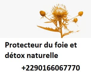 Protecteur du foie et détox naturelle