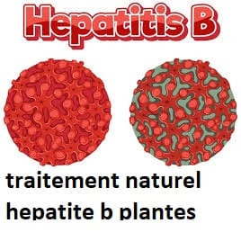 traitement naturel hepatite b plantes