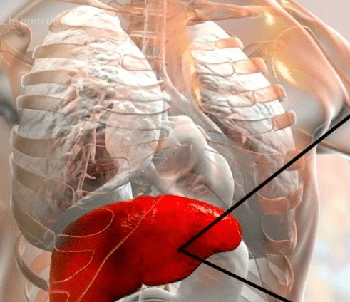 Hépatite B Soutien naturel Foie