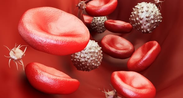 Leucémie et Anémie Solution Naturelle