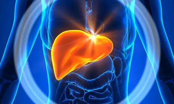 HEPATONAT Solution Naturelle Hépatite B