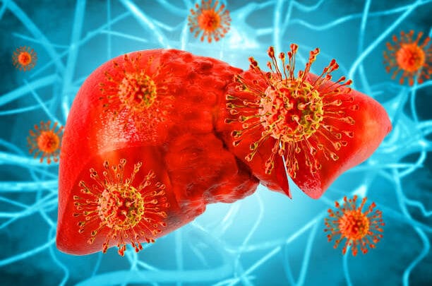 Hépatite B et C Soutien Naturel