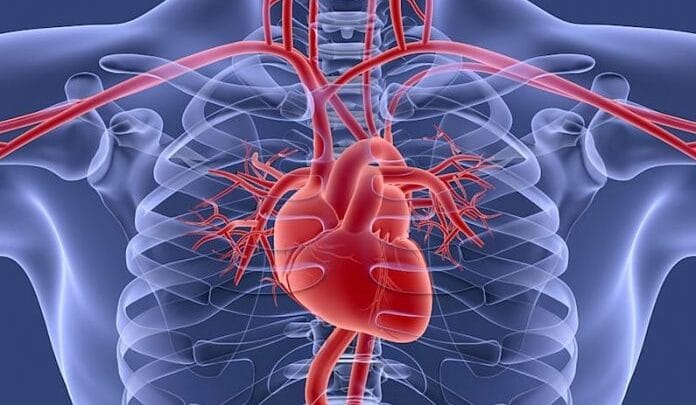 Solution Naturel des Maladies Cardiovasculaires