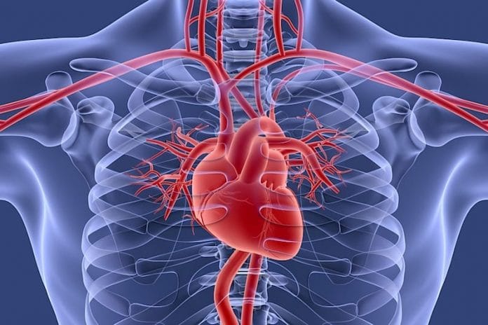 Solution Naturel des Maladies Cardiovasculaires