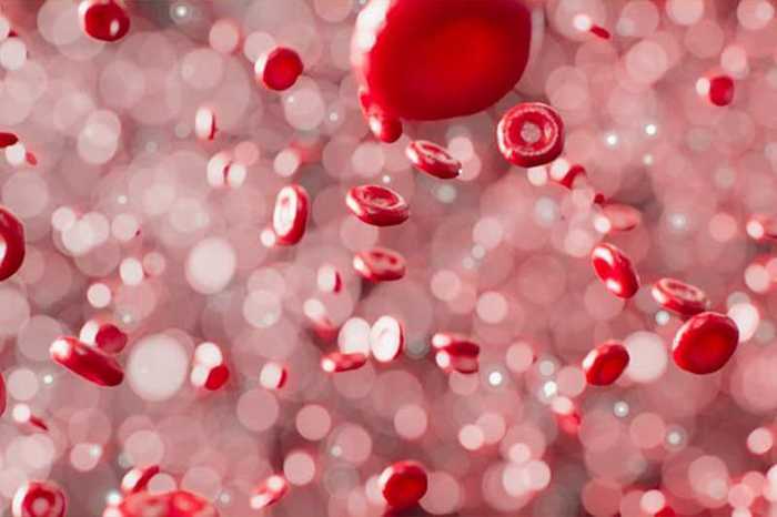 Solution Naturelle Hépatite B