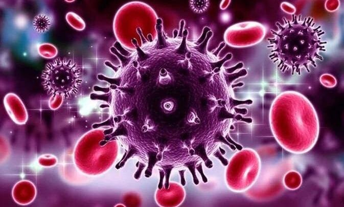 Hépatite B et C Remède