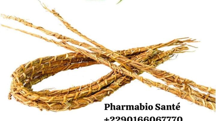 Gongoli bienfaits fertilité détox