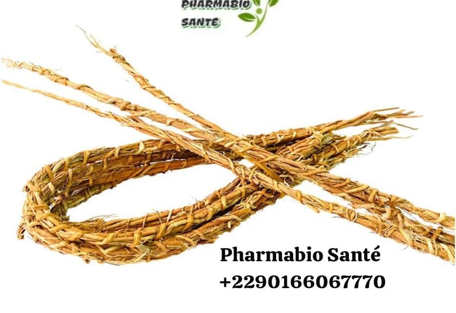 Gongoli bienfaits fertilité détox