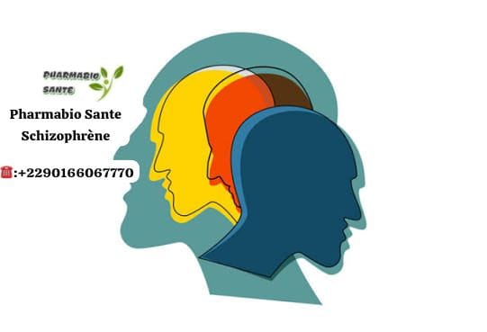 premiers signes schizophrénie