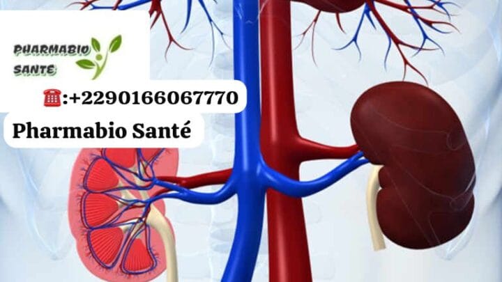 Nettoyer reins tisane naturelle