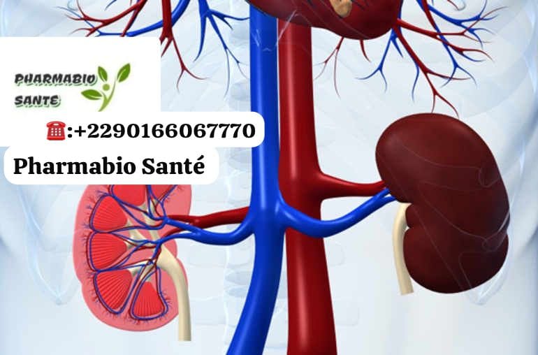 Nettoyer reins tisane naturelle