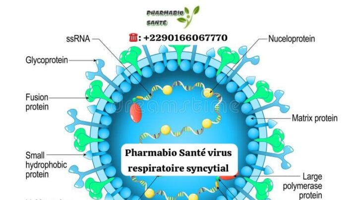 Virus Respiratoire Syncytial