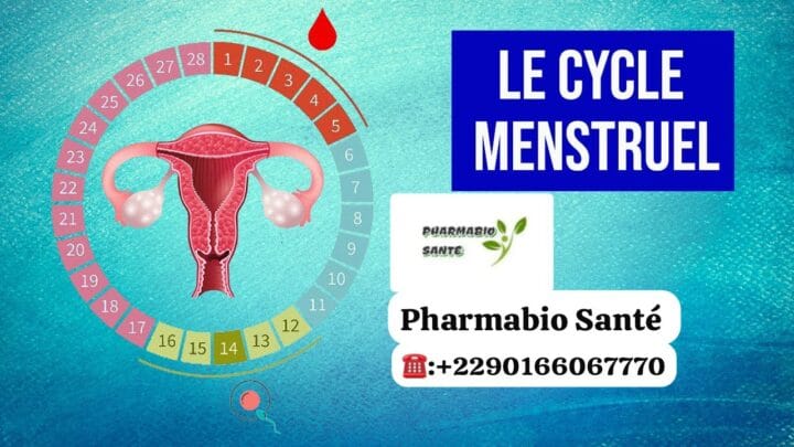 cycle menstruel irregulier solution naturelle