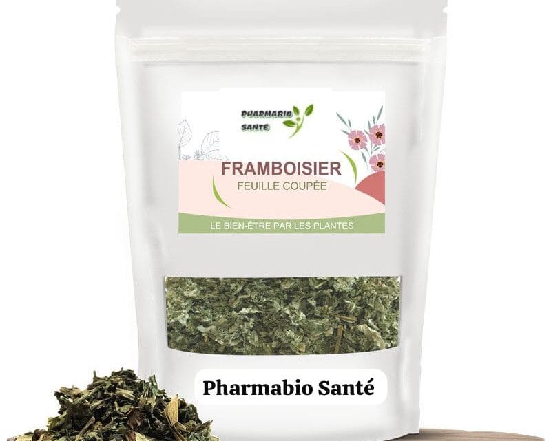 Tisane framboisier grossesse bienfaits