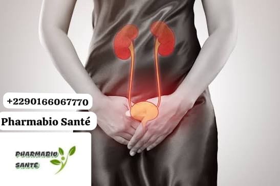 Infection urinaire plantes africaines