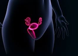 Traitement Naturel Salpingite