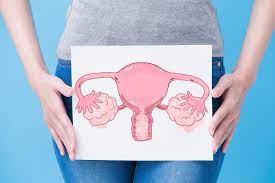 Traitement Naturel Salpingite