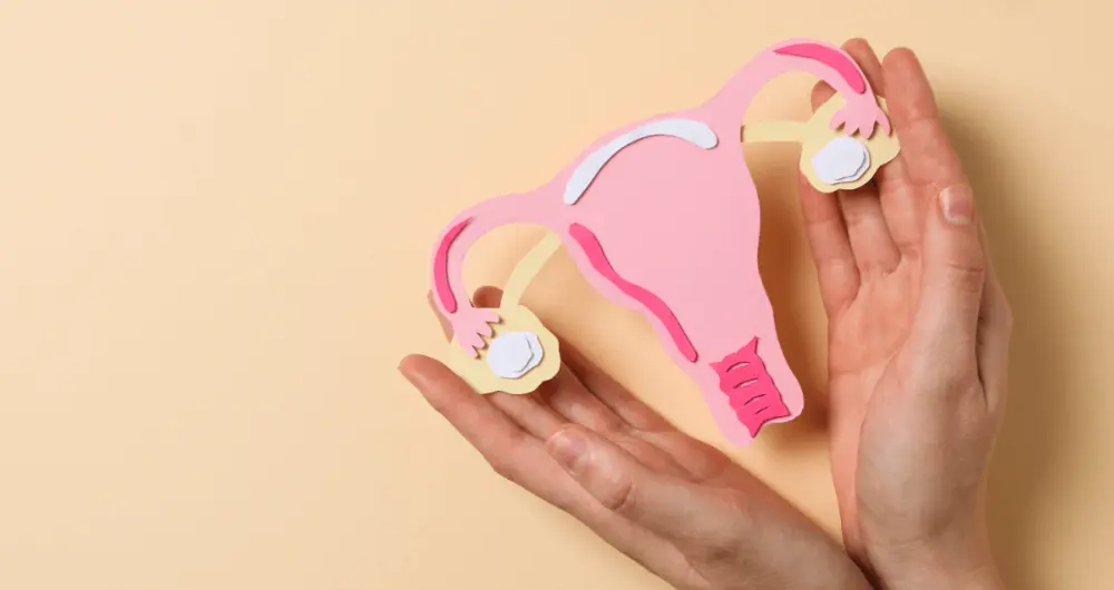 Salpingite Solutions Naturelles