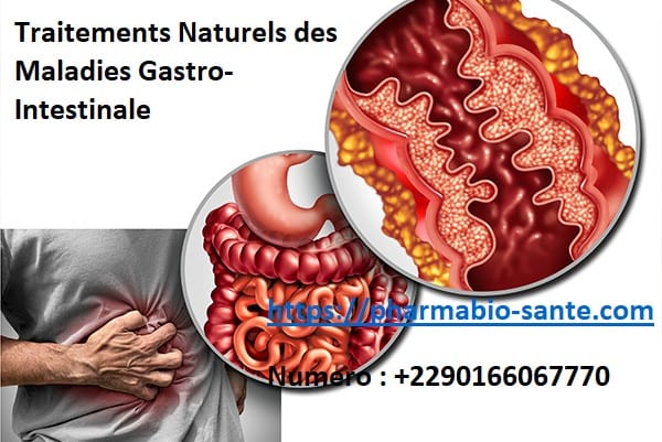 Traitements Naturels des Maladies Gastro-Intestinale