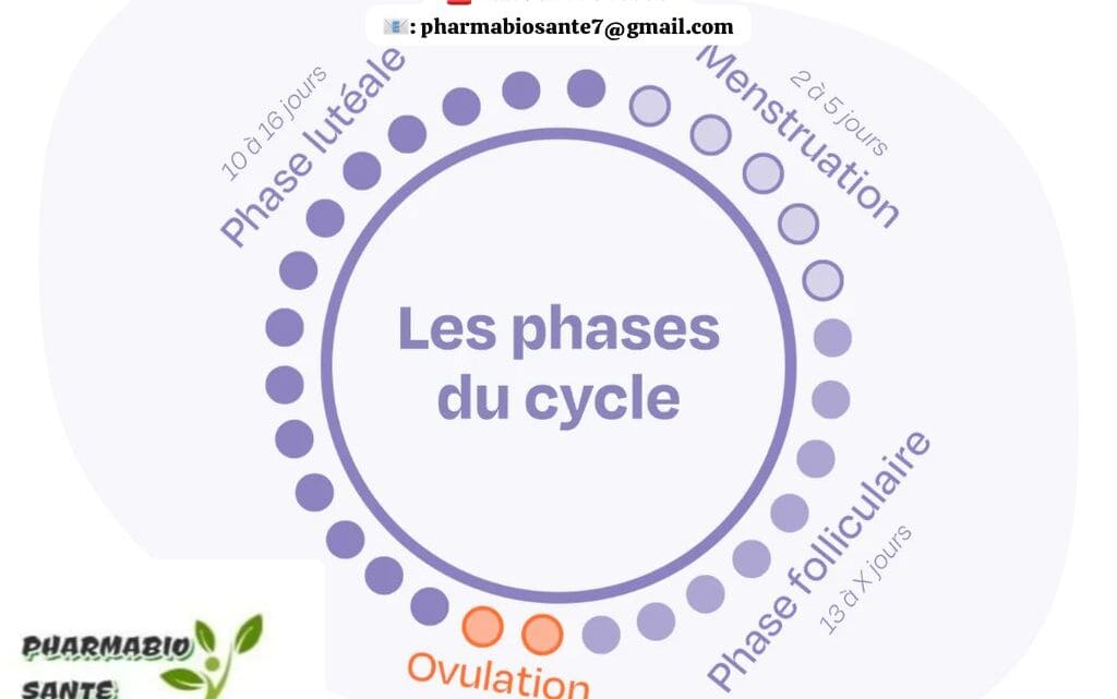 Réguler le Cycle Menstruel