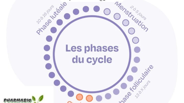 Réguler le Cycle Menstruel