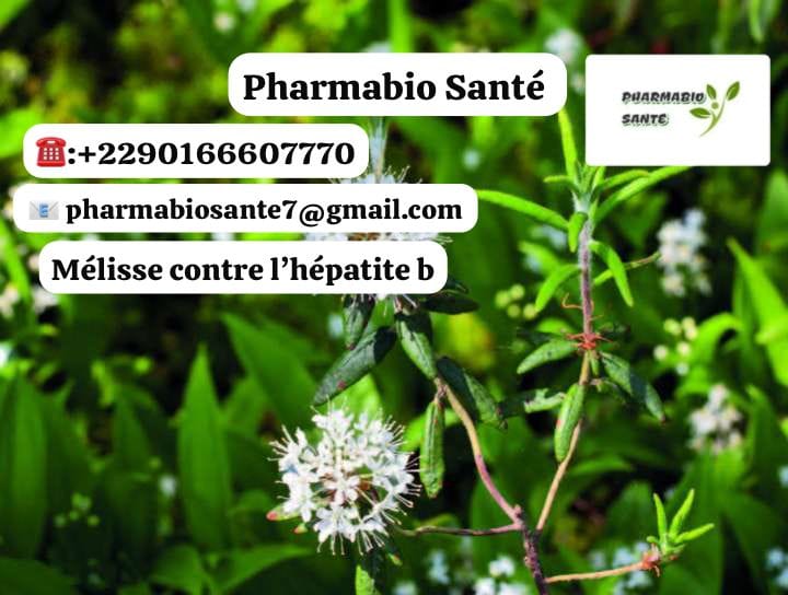 Utiliser mélisse hépatite B