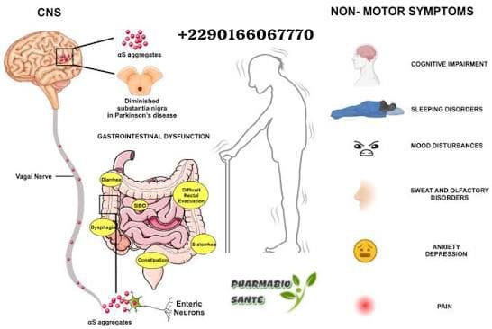 Parkinson constipation traitement naturel