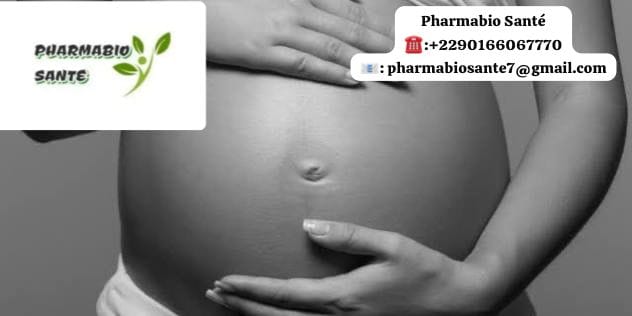 Plantes pour Favoriser la Fertilité