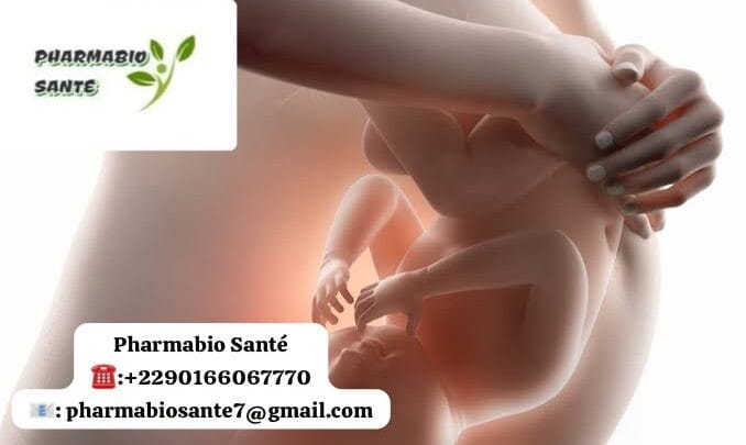 Infusions pour Favoriser la Fertilité