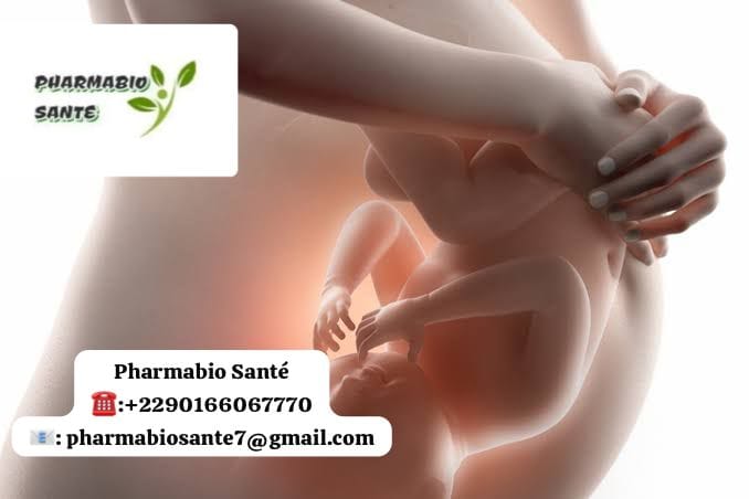 Infusions pour Favoriser la Fertilité