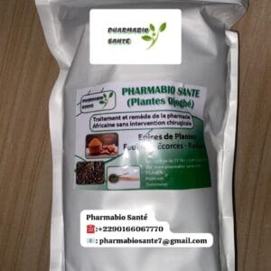 Plantes Médicinales contre Sciatique Lumbago