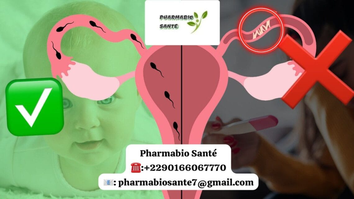 Traitements Naturels pour Trompes Bouchées