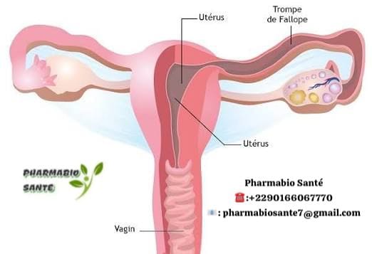 Désobstruction trompes naturellement