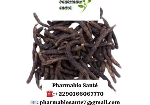 Poivre de guinée sante féminine tradition