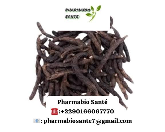 Poivre de guinée sante féminine tradition