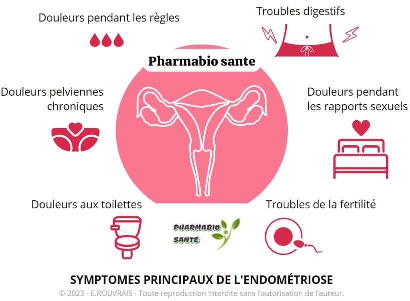Soigner l'Endométriose par les Plantes
