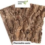 Régénérer le foie Traitement Naturel