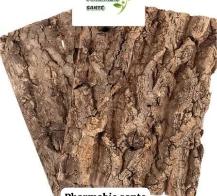 Régénérer le foie Traitement Naturel