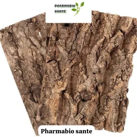 Régénérer le foie Traitement Naturel