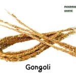 Gongoli Vétyver Bienfaits Santé