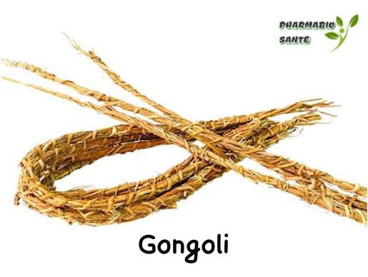 Gongoli Vétyver Bienfaits Santé