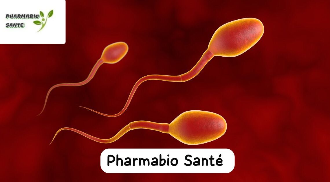 Augmenter le volume de sperme