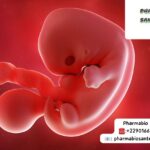 Fausse couche traitement naturel