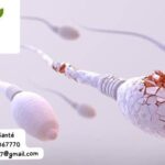 Fertilité masculine Solutions Naturelles
